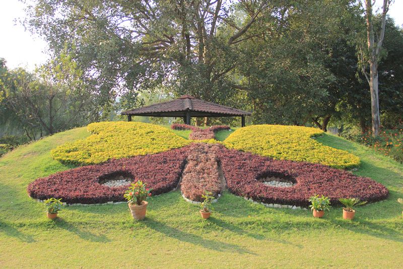 Butterfly Park Chandigarh